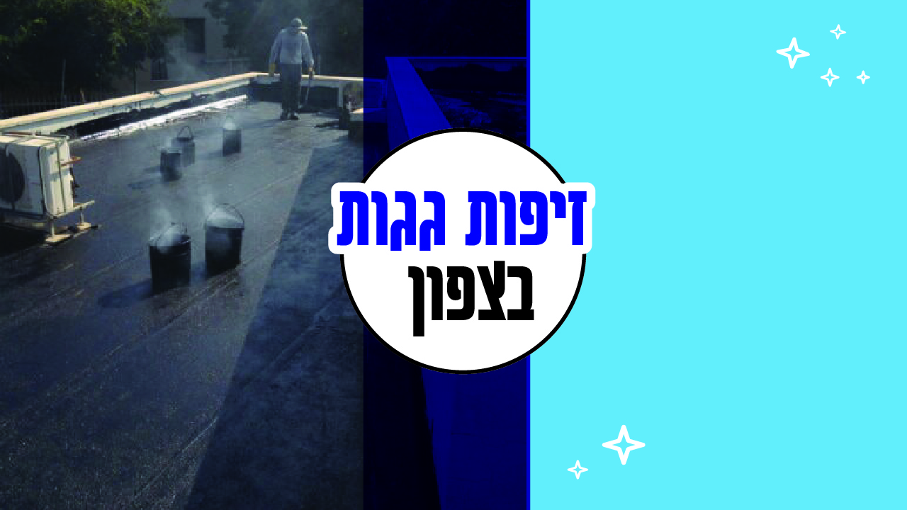 זיפות גגות בצפון זיפות גגות בצפון